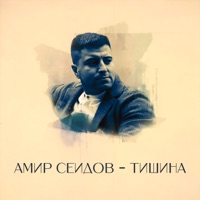 Тишина - Single - Амир Сеидов