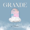Grande Como El Cielo - Single