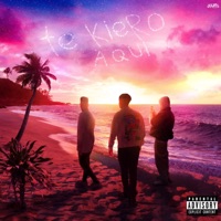 TE KIERO AQUÍ (feat. Bach) - Single - Nikolo & Sheyel