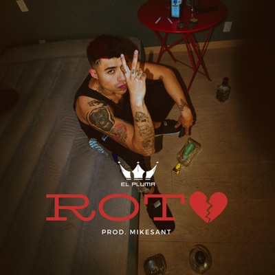 Roto - Single