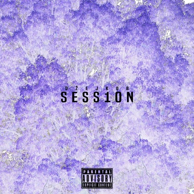 SESS10N (feat. LIL SLESINGR, LukasWave & Gold Bee) - Single