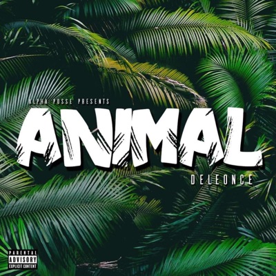 Animal - Single