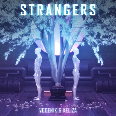 Strangers - Single
