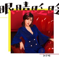 眼睛眨眨 - Single - 刘子璇