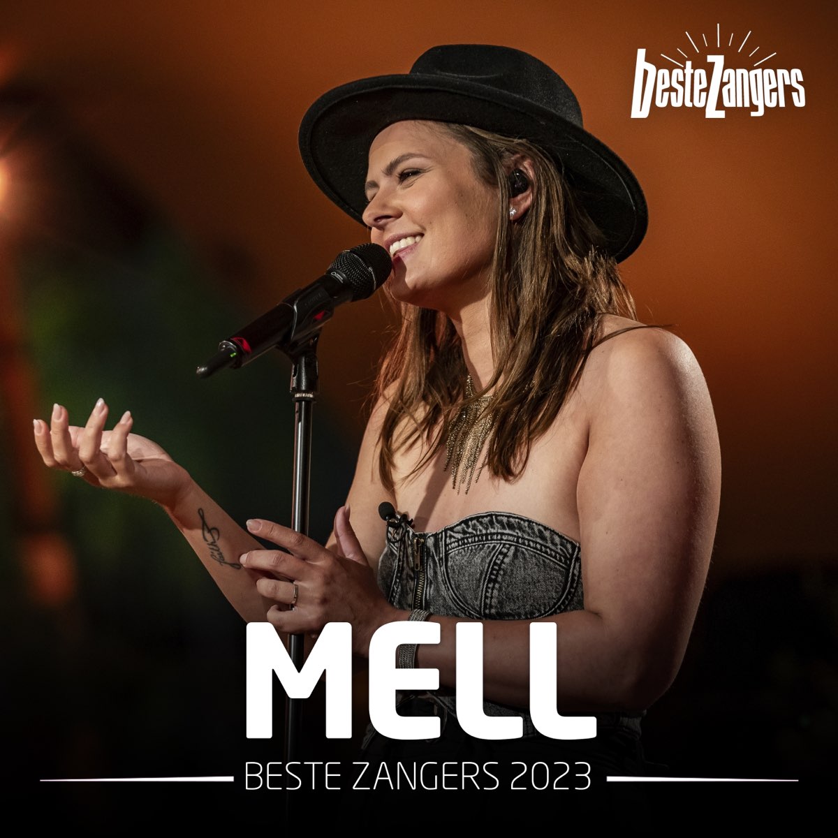 ‎Beste Zangers 2023 (Mell) Album van Mell & Vintage Future & Beste