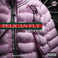 Pelican Fly - Single - Shottie