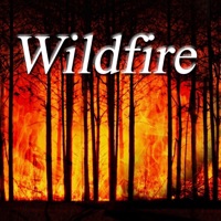 Wildfire (feat. Margaret Abbott & Alfonso Llorente Sardi) - Single - Dave Heffner