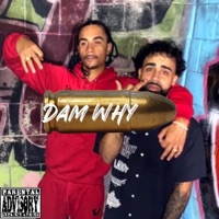DAMN WHY (feat. Sour joe) - Single - Just Lu