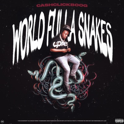 World Fulla Snakes - Single