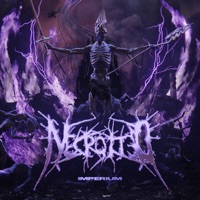Ignorance Is Fear (feat. Abbie Falls & Defocus) - Single - Necrotted