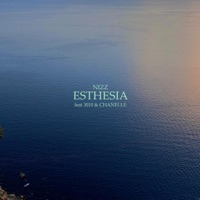 Esthesia (feat. 3010 & Chanelle) - Single - Nizz