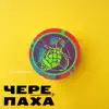 Gvozdini - Черепаха