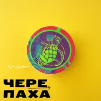 Черепаха — Gvozdini