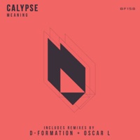 Meaning - Single - Calypse