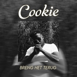 Breng Het Terug cookie045