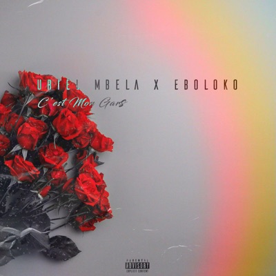 C'est mon gars (feat. Eboloko) - Single