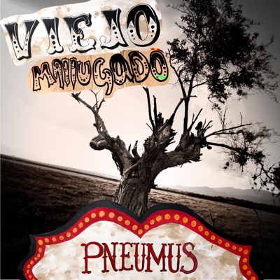 Viejo Mallugado (feat. PRIMITIVO TAPES) [Live Circus Trip Version] - Single
