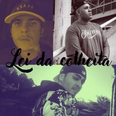 Lei da Colheita (feat. Pic evangelista, MC Deivon & mgbeats) - Single