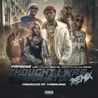 Thought I Was Gonna Stop (Remix) [feat. 2 Chainz, Remy Ma, Busta Rhymes & Lil Wayne] — Papoose