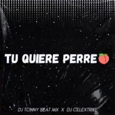 Tu Quiere Perreo (feat. Tonny Beat) - Single