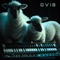 Ovis - Ovis lyrics