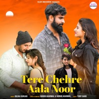 Tere Chehre Aala Noor (तेरे चेहरे आला नूर) - Single - RJ29 RECORDS