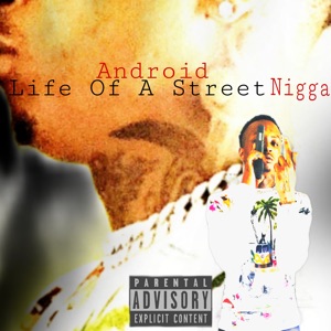 Life of a Street N***a