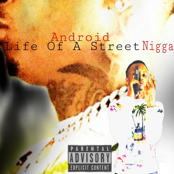 Life of a Street N***a