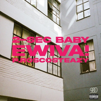 2-SEC BABY - Single