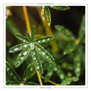 Green's Park - Single