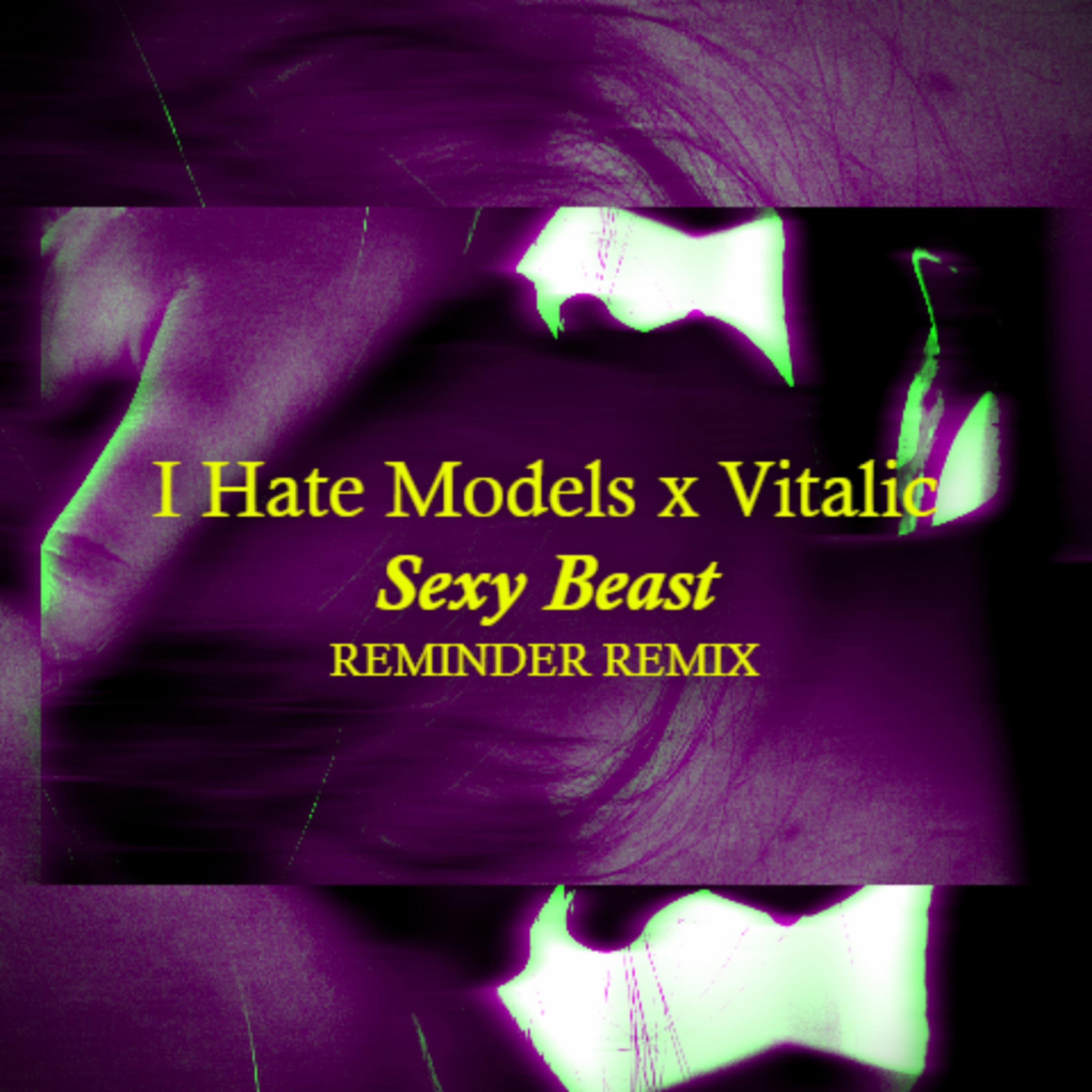 S**y Beast (Reminder Remix) - Single