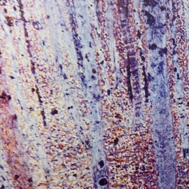 Br3ath3 Łucid dreamer