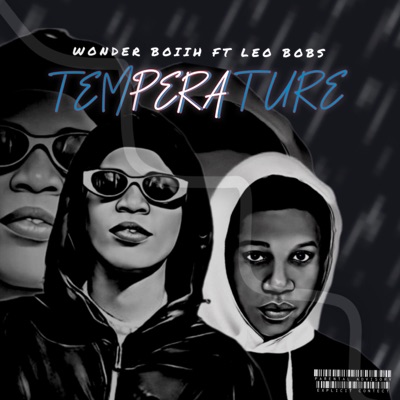 Temperature (feat. Leo Bobs) - Single
