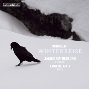 Winterreise, Op. 89, D. 911 (Arr. for Baritone & Piano): No. 18, Der stürmische Morgen