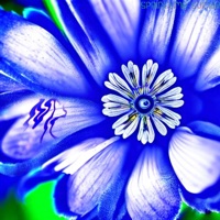 Springtime Suicide - Single - Michael Ricciardi