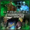 Los Caimanes De Sinaloa - El Sube y Baja