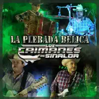 El Sube y Baja — Los Caimanes De Sinaloa