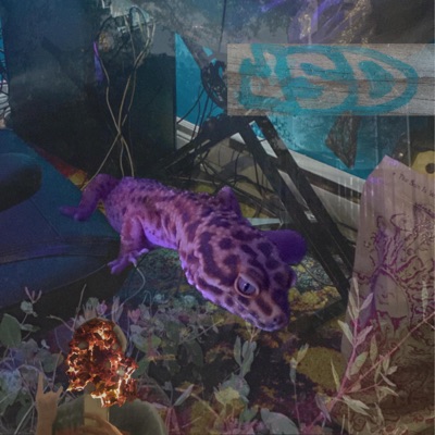 Superstardom - Single