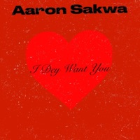 I Dey Want You - Single - Aaron Sakwa