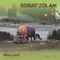 Sobat Zolam - Waru Leaf lyrics