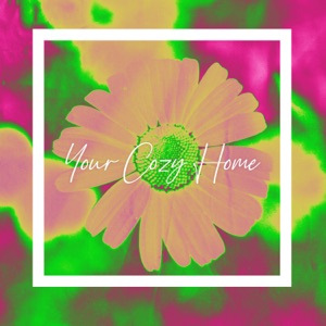 Your Cozy Home