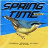 Springtime (Remix) [feat. ERRDEKA & Veedel Kaztro] - Single