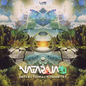 Reflectional Symmetry - Single