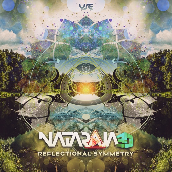 Reflectional Symmetry - Single