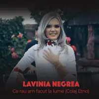 Ce rau am facut la lume — Lavinia Negrea