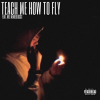 Teach Me How To Fly (feat. Mr.Memeologist) - Single - 757shai