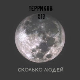 Сколько людей Террикон513
