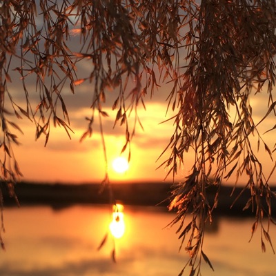 Life's a Mess - Single