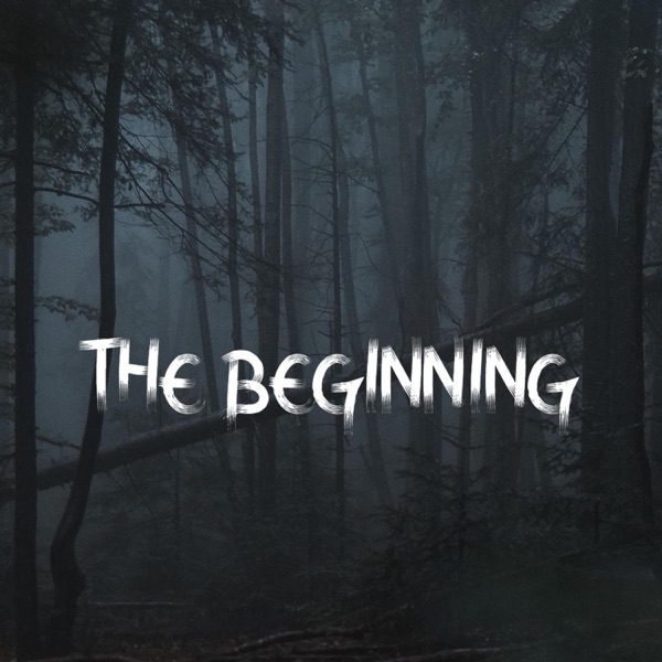 The Beginning
