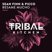 Bésame Mucho (Extended Mix) artwork